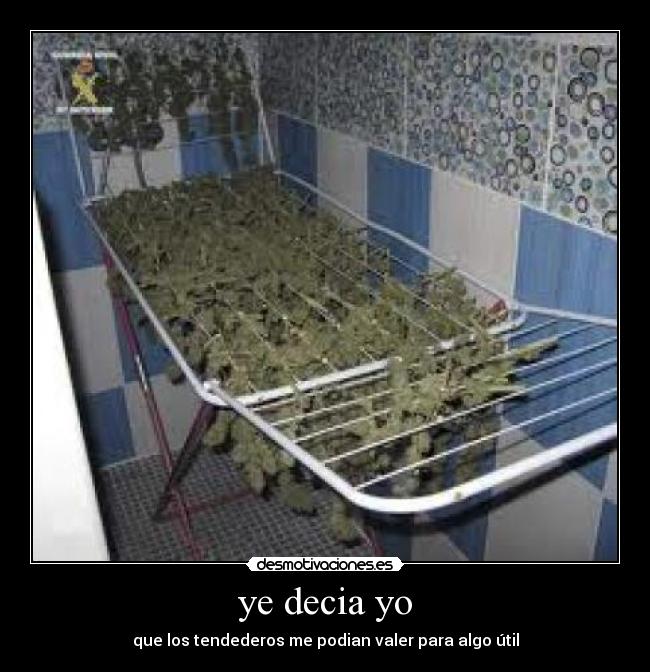 ye decia yo - que los tendederos me podian valer para algo útil