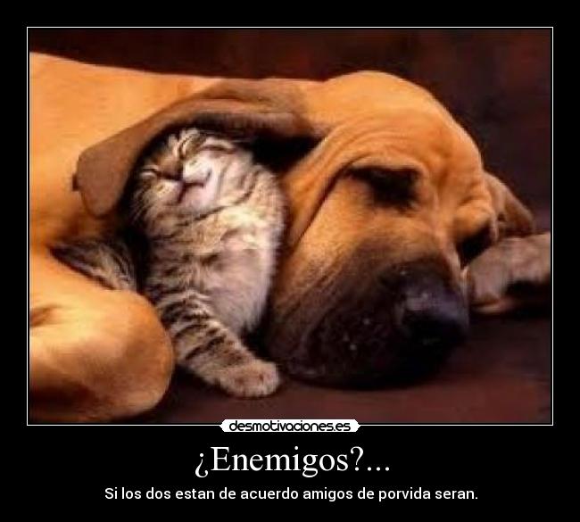 ¿Enemigos?... -