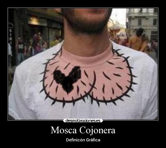 Mosca Cojonera - Definicón Gráfica