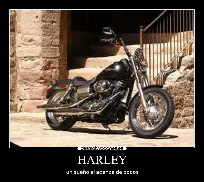 HARLEY - 