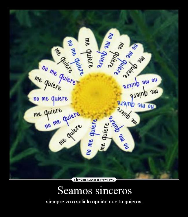 Seamos sinceros - 