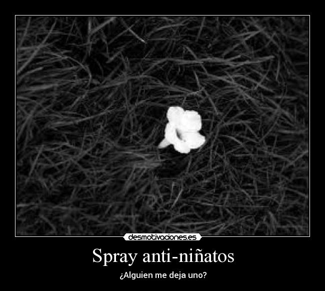Spray anti-niñatos - 