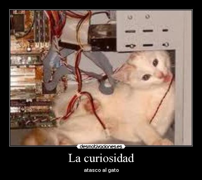 La curiosidad - 