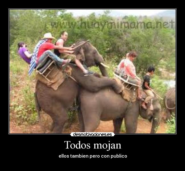 carteles fyercracker desmotivaciones