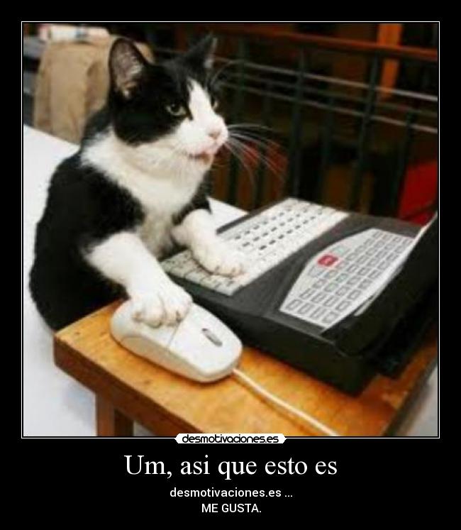 Um, asi que esto es -