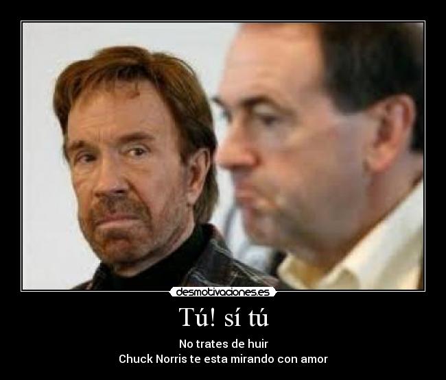 Tú! sí tú - No trates de huir
Chuck Norris te esta mirando con amor
