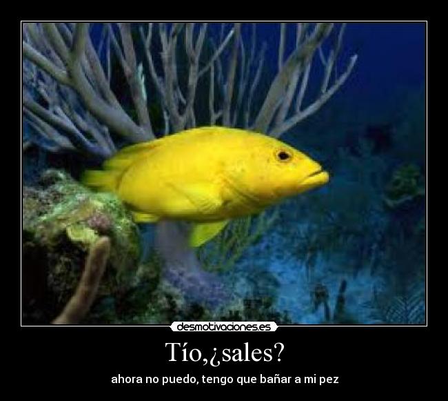 carteles xikeninah desmotivaciones