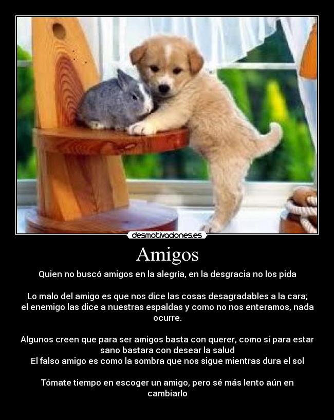 Amigos -