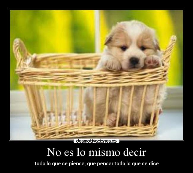 No es lo mismo decir -