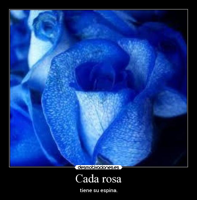 Cada rosa - 
