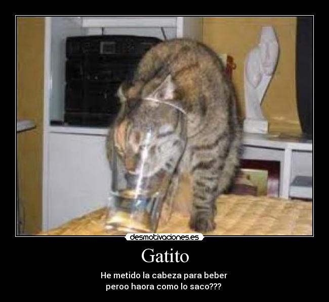 carteles  desmotivaciones