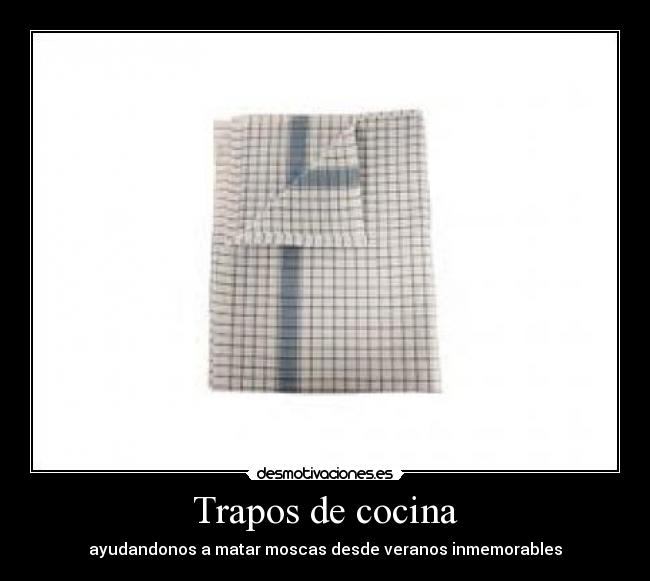 Trapos de cocina - ayudandonos a matar moscas desde veranos inmemorables