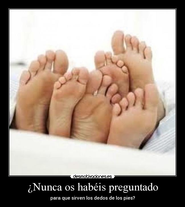¿Nunca os habéis preguntado -