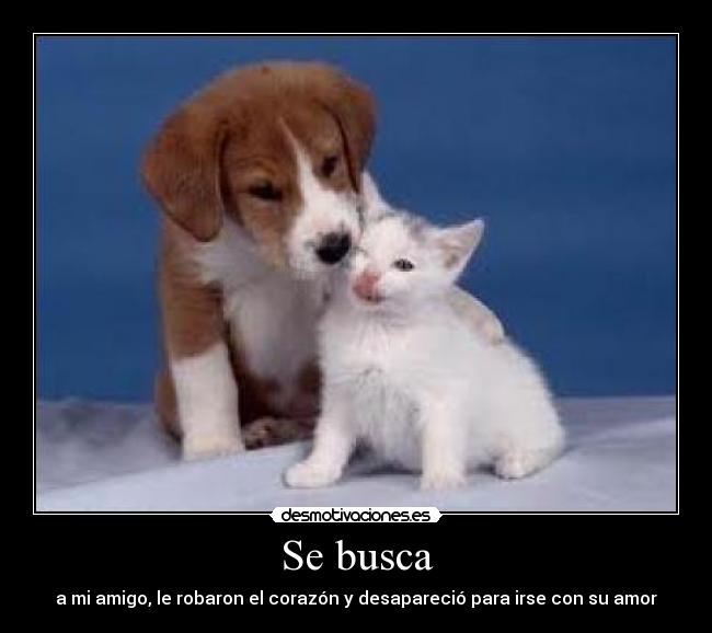 Se busca - a mi amigo, le robaron el corazón y desapareció para irse con su amor