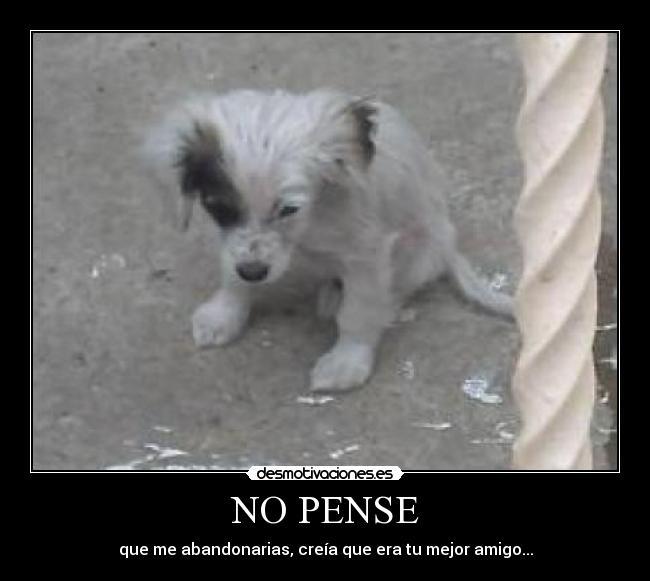 NO PENSE - que me abandonarias, creía que era tu mejor amigo...