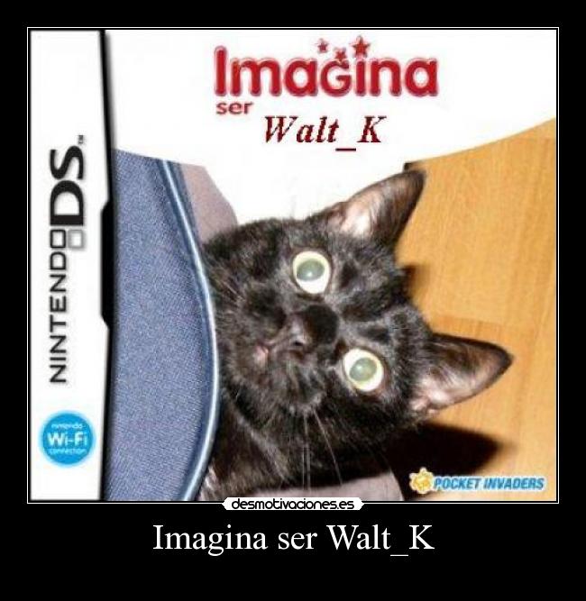 Imagina ser Walt_K -