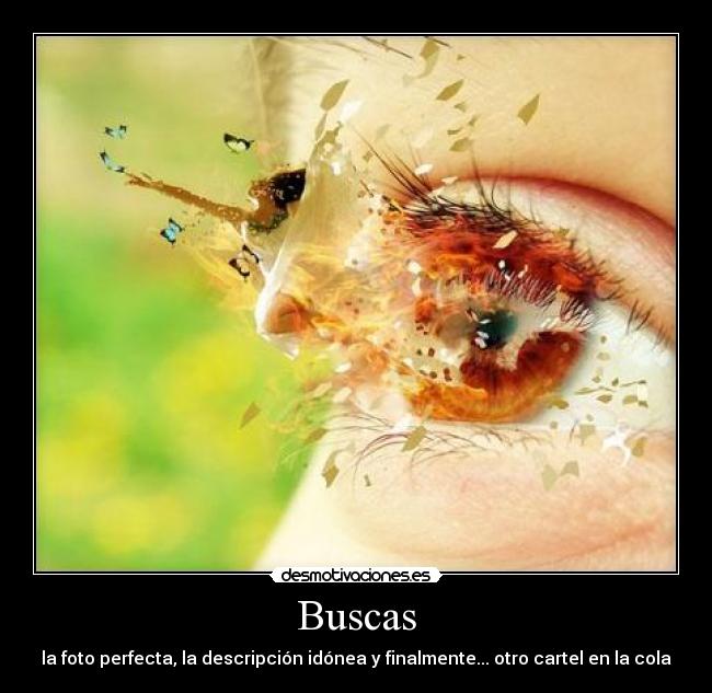 Buscas - 