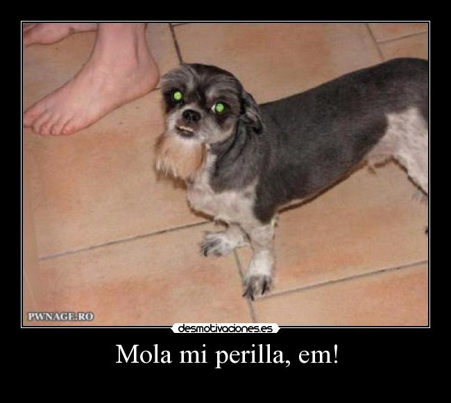 Mola mi perilla, em! -