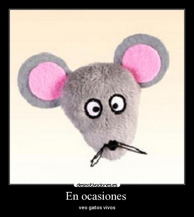 En ocasiones  - veo gatos vivos