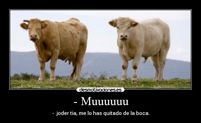 carteles -muuuuuu desmotivaciones