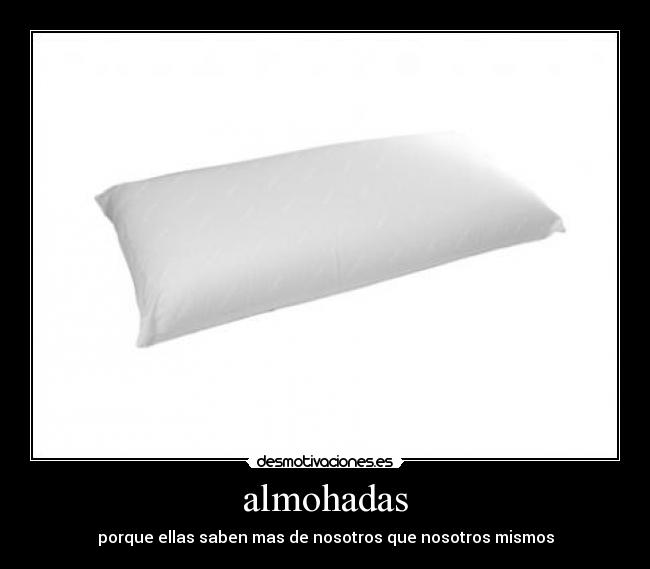 almohadas -