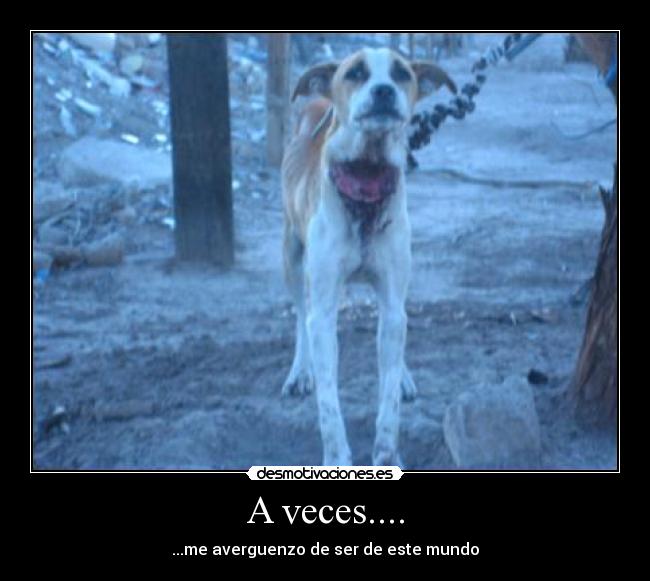 A veces.... - 
