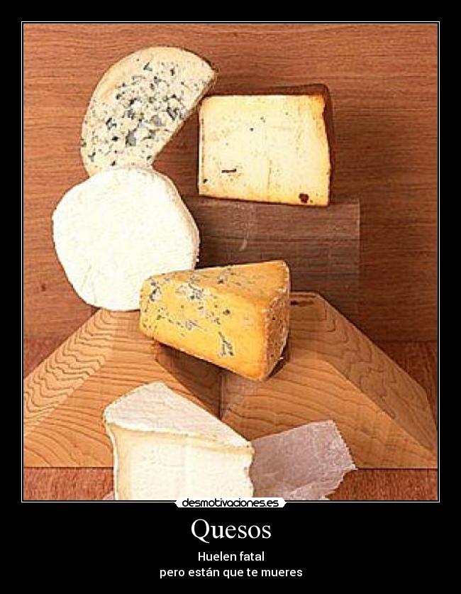 Quesos - 