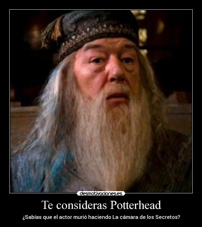 Te consideras Potterhead - 