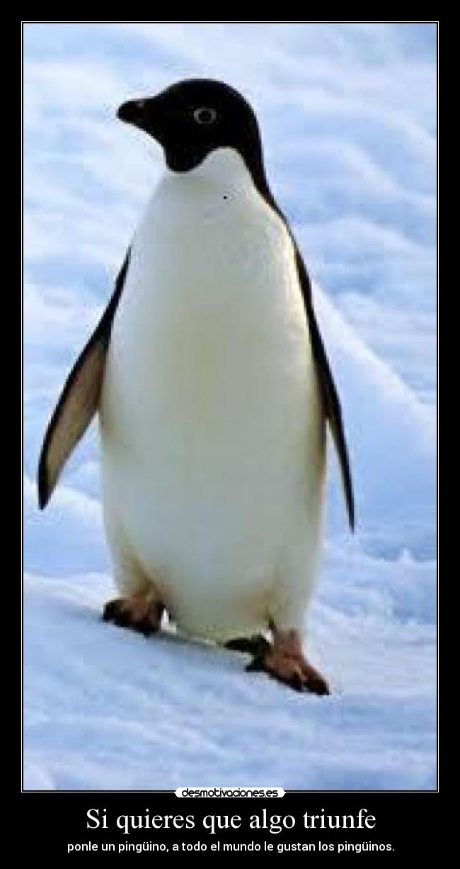 Si quieres que algo triunfe - 