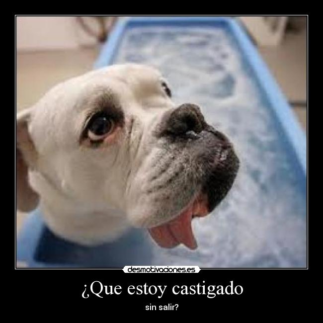 ¿Que estoy castigado - 