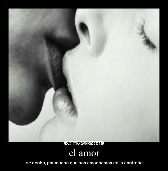 el amor - 