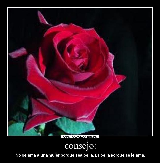 consejo: - 