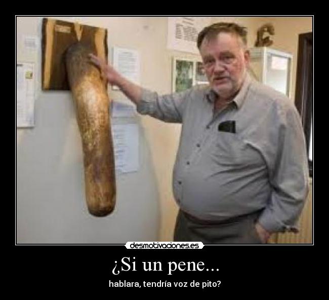 ¿Si un pene... - 