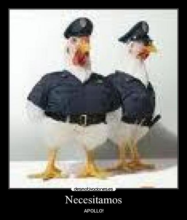 Necesitamos - APOLLO!