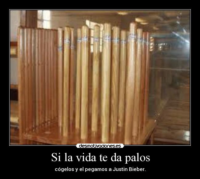 Si la vida te da palos - cógelos y el pegamos a Justin Bieber.