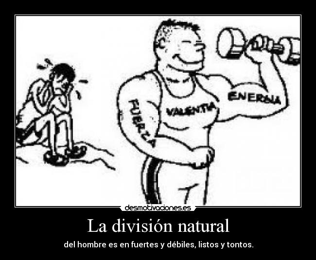 La división natural - del hombre es en fuertes y débiles, listos y tontos.
