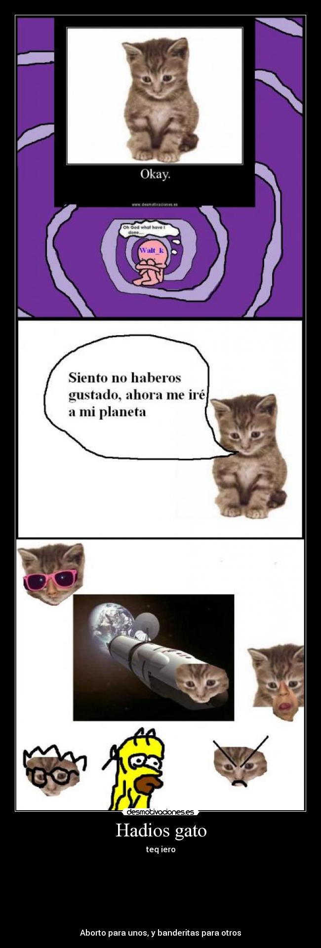 Hadios gato - 