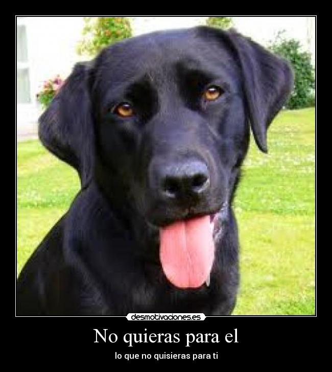 No quieras para el - 