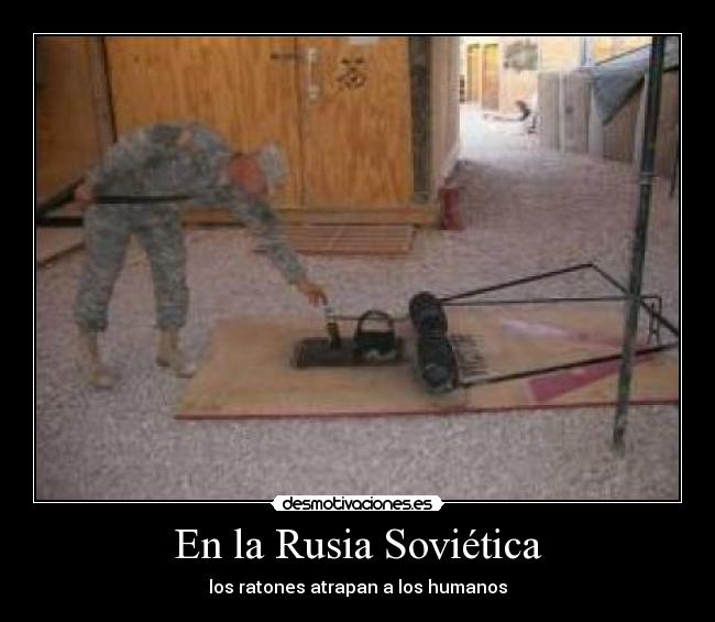 En la Rusia Soviética - los ratones atrapan a los humanos