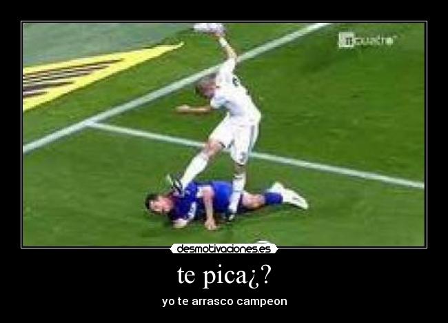 te pica¿? - yo te arrasco campeon