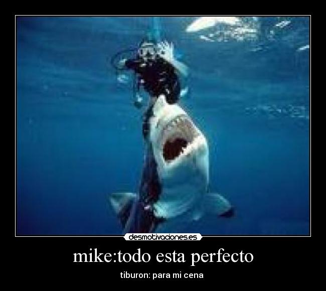 mike:todo esta perfecto - tiburon: para mi cena 