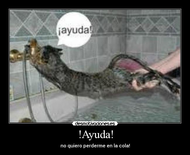 !Ayuda! - no quiero perderme en la cola!