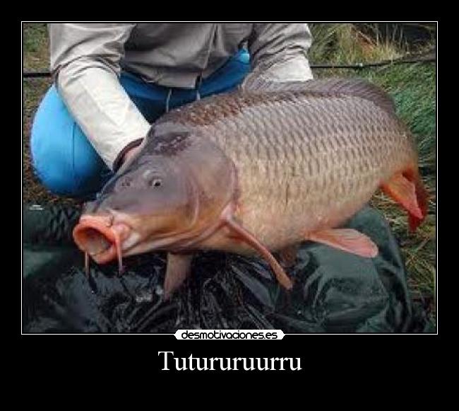 Tutururuurru -