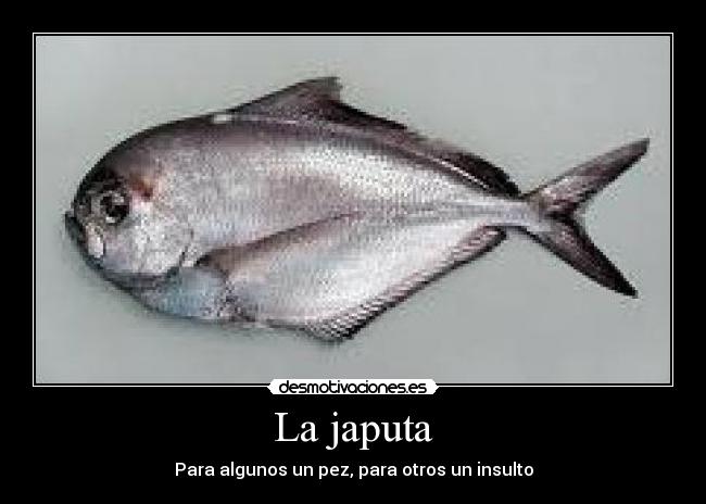 La japuta - 