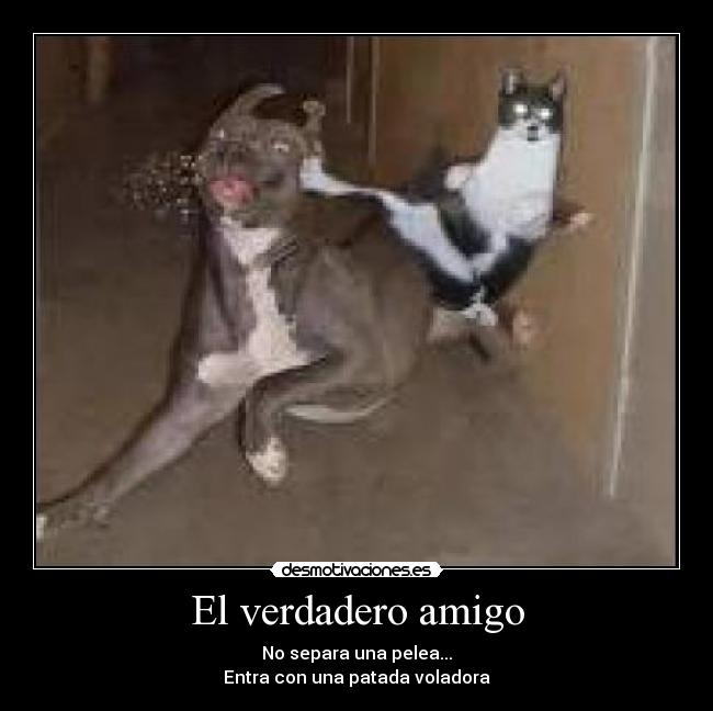 El verdadero amigo - No separa una pelea...
Entra con una patada voladora