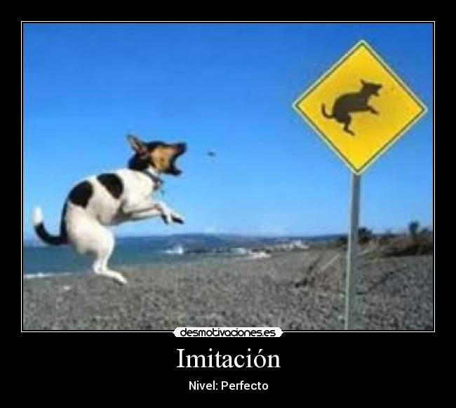 Imitación -