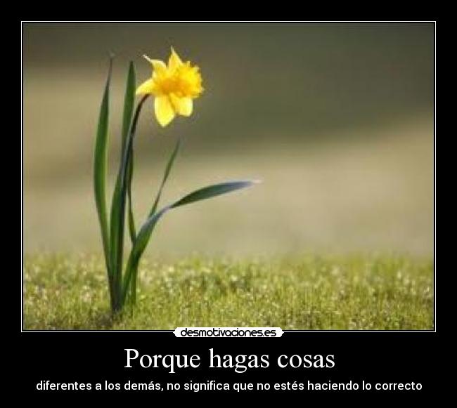 Porque hagas cosas - 
