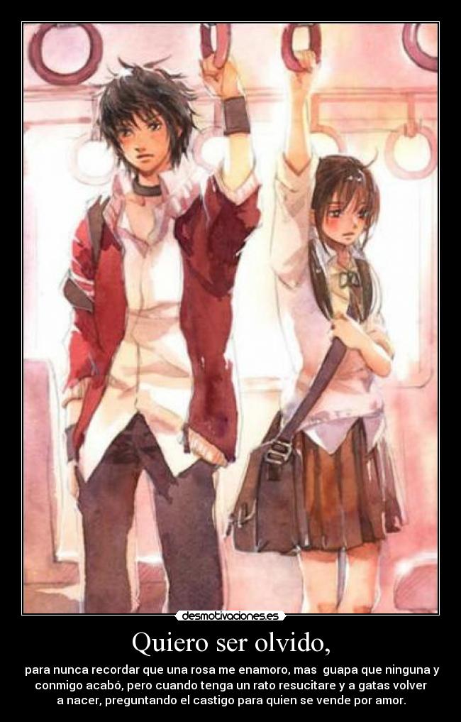 Quiero ser olvido, - para nunca recordar que una rosa me enamoro, mas guapa que ninguna y
conmigo acabó, pero cuando tenga un rato resucitare y a gatas volver
a nacer, preguntando el castigo para quien se vende por amor.