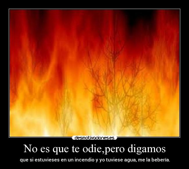 No es que te odie,pero digamos - que si estuvieses en un incendio y yo tuviese agua, me la bebería.