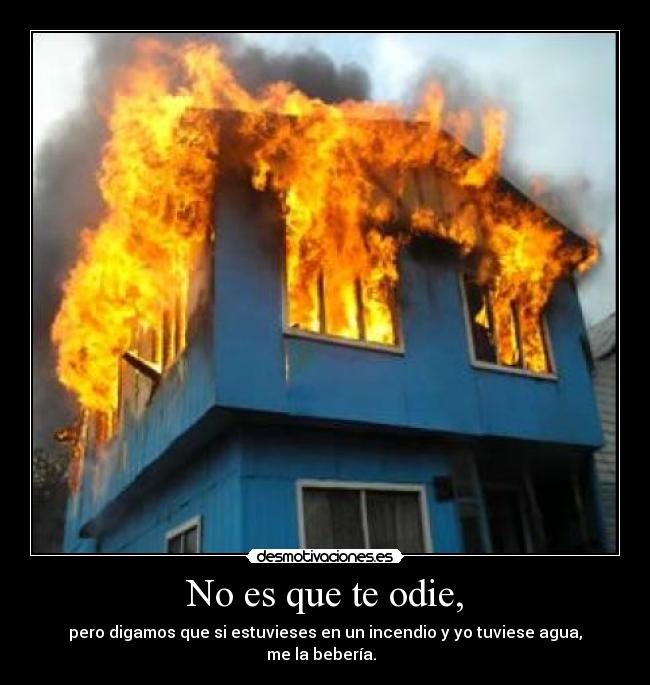 No es que te odie, -